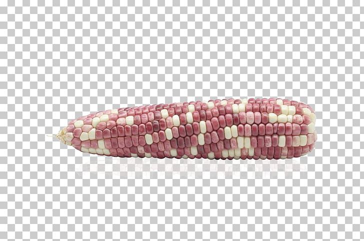 Maize Purple Corn PNG, Clipart, Adobe Illustrator, Cartoon Corn, Corn, Corn Cartoon, Corn Flakes Free PNG Download