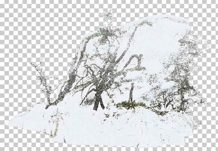 Twig Snow Tree PNG, Clipart, Black And White, Blizzard, Branch, Computer Icons, Download Free PNG Download