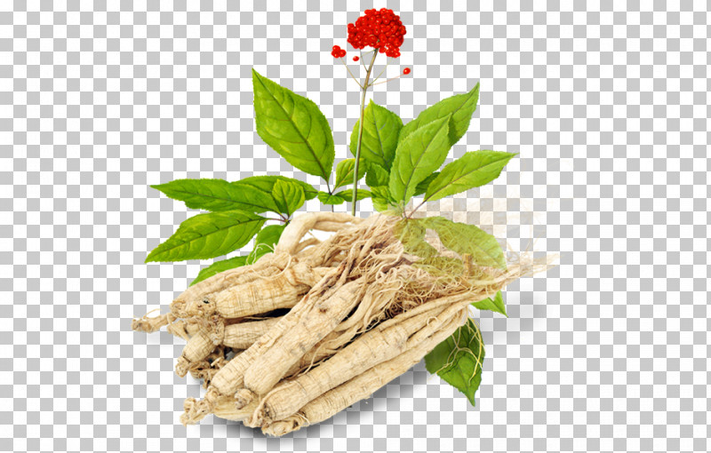 Flower Plant Food Herbal Herb PNG, Clipart, Flower, Food, Herb, Herbal, Ingredient Free PNG Download