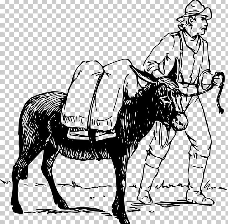 Drawing Donkey Mule PNG, Clipart, Animals, Art, Cartoon, Chariot, Coachman Free PNG Download