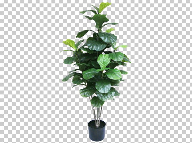 Houseplant Monstera Ornamental Plant Flowerpot PNG, Clipart, Arecaceae, Branch, Fig Trees, Flowerpot, Garden Free PNG Download