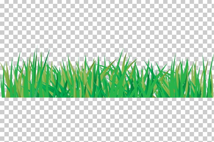 Photography Others Grass PNG, Clipart, Cartoon, Commodity, Digital Image, Drawing, Grass Free PNG Download