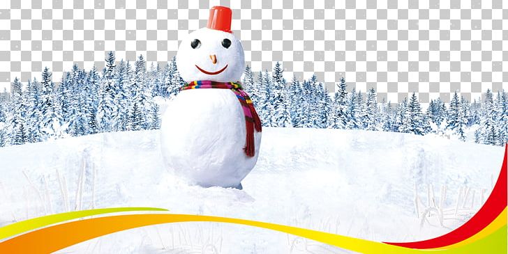 Winter Dahan Snowman Poster PNG, Clipart, Arctic, Avatar, Background, Christmas Ornament, Christmas Snow Free PNG Download