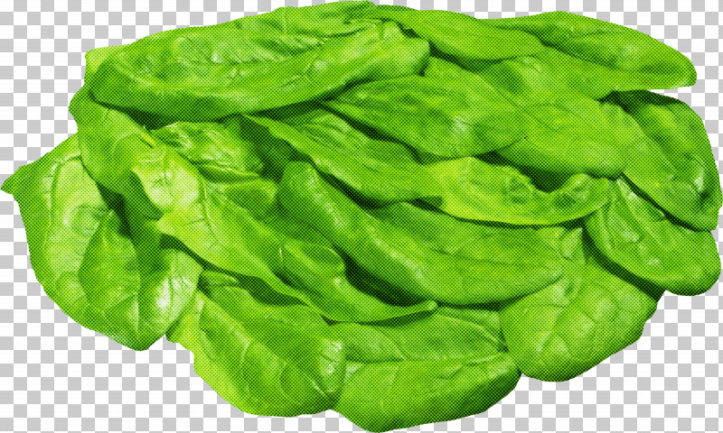 Green Leaf Vegetable Leaf Vegetable Spinach PNG, Clipart, Flower, Food, Green, Leaf, Leaf Vegetable Free PNG Download