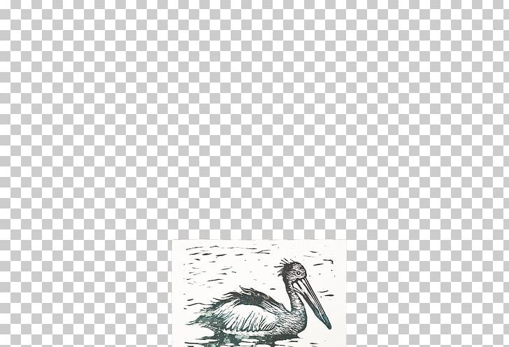 Bird Crane Goose Cygnini Duck PNG, Clipart, Anatidae, Animals, Arm, Beak, Bird Free PNG Download