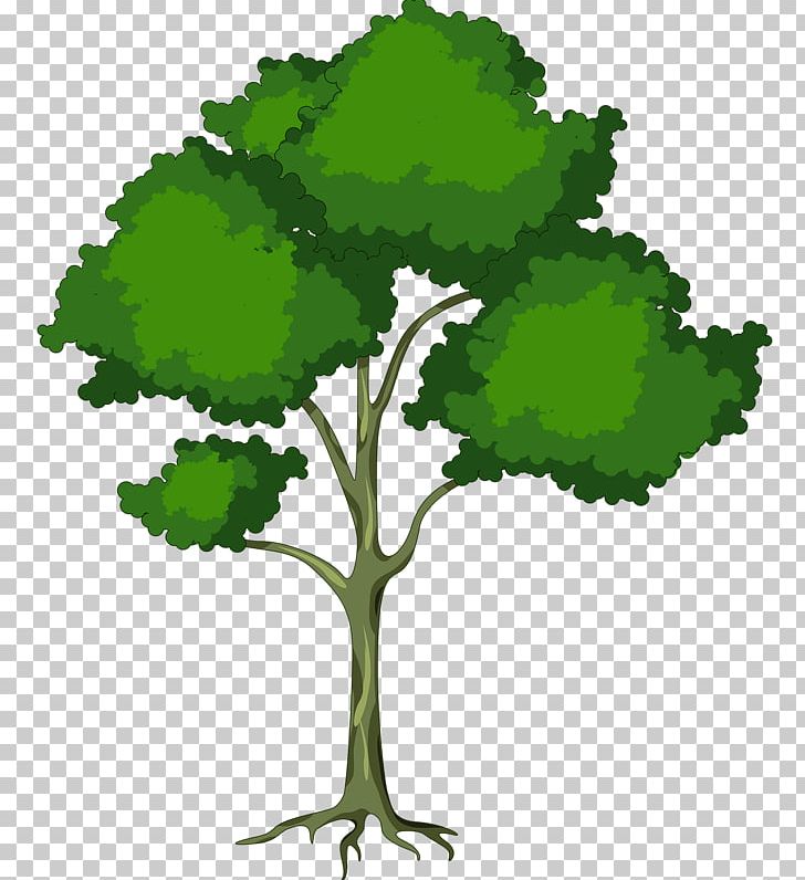 Farmhouse PNG, Clipart, Animals, Barn, Branch, Cartoon Tree, Cattle Free PNG Download