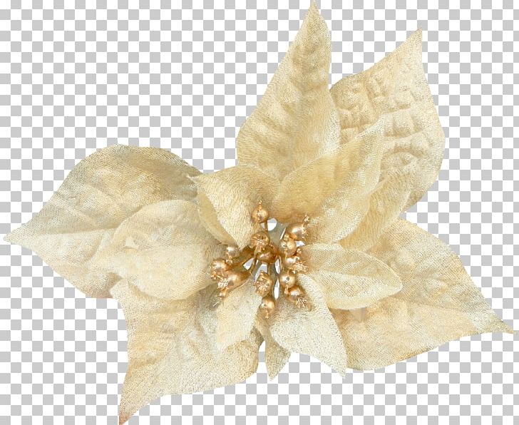 Hair Clothing Accessories PNG, Clipart, Beige, Clothing Accessories, Deco, Fleur, Flowers Free PNG Download
