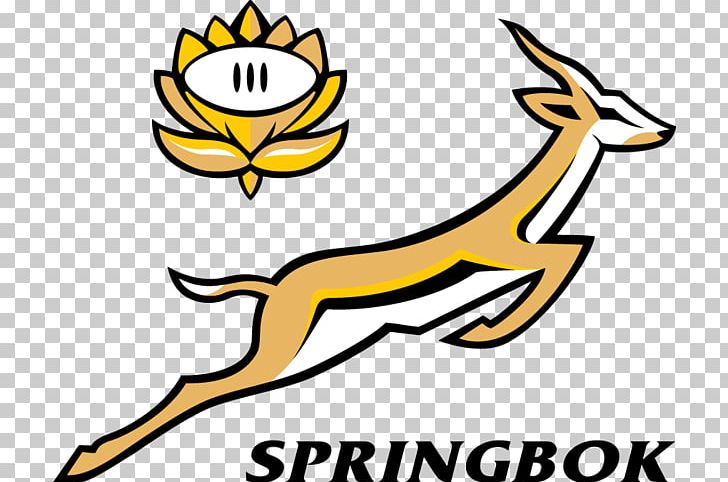 South Africa National Rugby Union Team 2017 Rugby Championship Springbok New Zealand National Rugby Union Team Australia National Rugby Union Team PNG, Clipart, 2017 Rugby Championship, Fauna, Mammal, Others, Rugby Championship Free PNG Download