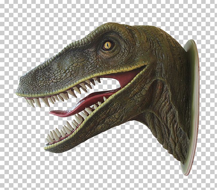 Tyrannosaurus Dinosaur World Velociraptor Bistahieversor PNG, Clipart, Bistahieversor, Brachiosaurus, Bust, Dinosaur, Dinosaur Png Free PNG Download