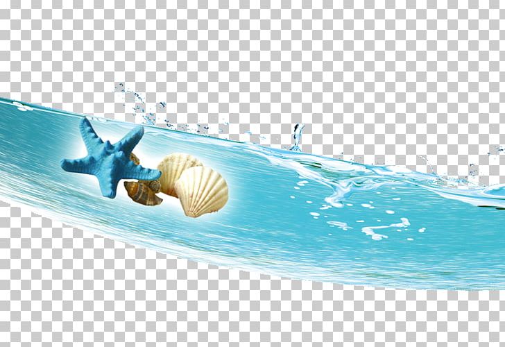 Conch Sea Snail Icon PNG, Clipart, Aqua, Bathtub, Computer Wallpaper, Conch, Encapsulated Postscript Free PNG Download