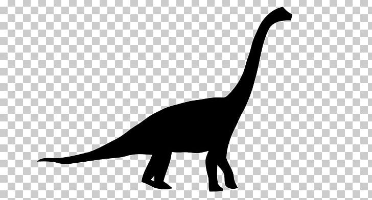 Brachiosaurus Apatosaurus Diplodocus Brontosaurus Dinosaur Size PNG, Clipart, Ankylosaurus, Antarctosaurus, Apatosaurus, Black And White, Brachiosaurus Free PNG Download
