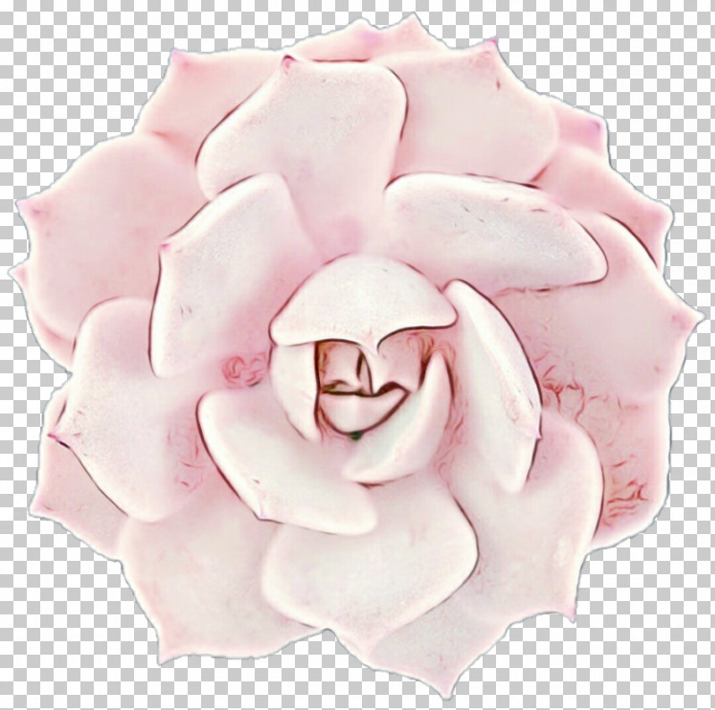 Rose PNG, Clipart, Cut Flowers, Flower, Paint, Petal, Rose Free PNG Download