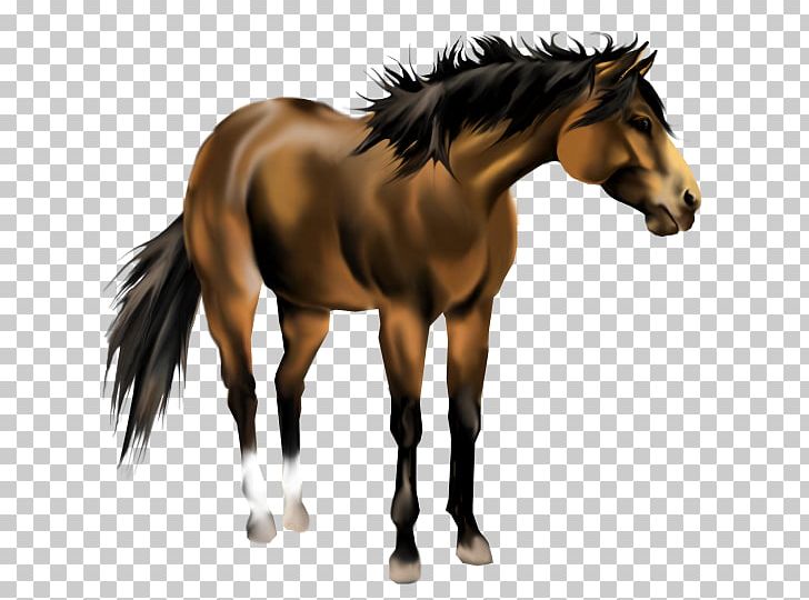 American Paint Horse Mustang American Quarter Horse Mane Pony PNG, Clipart, American Paint Horse, American Quarter Horse, Bit, Black, Bridle Free PNG Download