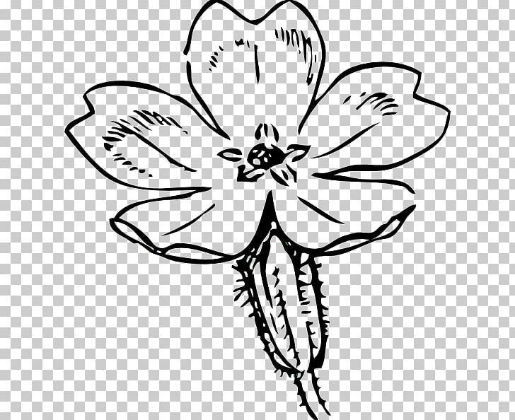 Drawing PNG, Clipart, Black And White, Branch, Common Eveningprimrose, Computer Icons, Cut Flowers Free PNG Download