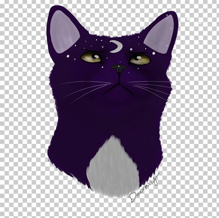 Black Cat Korat Kitten Whiskers Domestic Short-haired Cat PNG, Clipart, Animals, Black, Black Cat, Black M, Carnivoran Free PNG Download