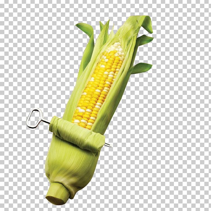 Corn On The Cob Maize Corn Kernel Sweet Corn PNG, Clipart, Business, Cartoon Corn, Chief Executive, Commodity, Corn Free PNG Download