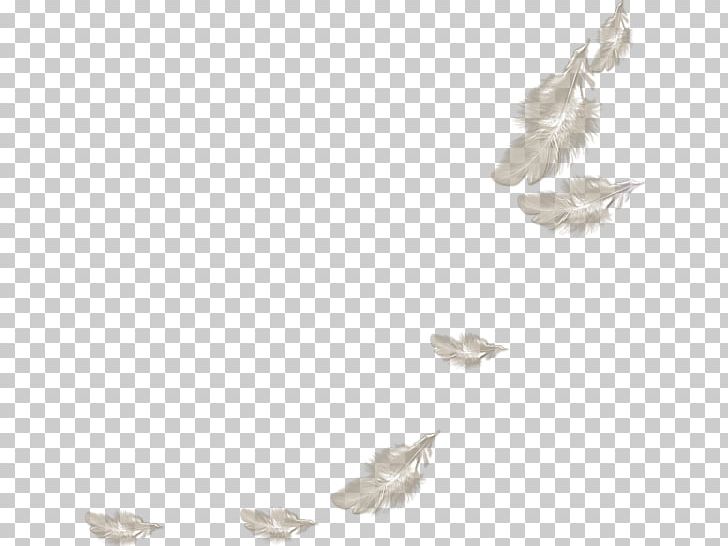 Feather White PNG, Clipart, Angle, Animals, Balloon Cartoon, Boy Cartoon, Cartoon Couple Free PNG Download