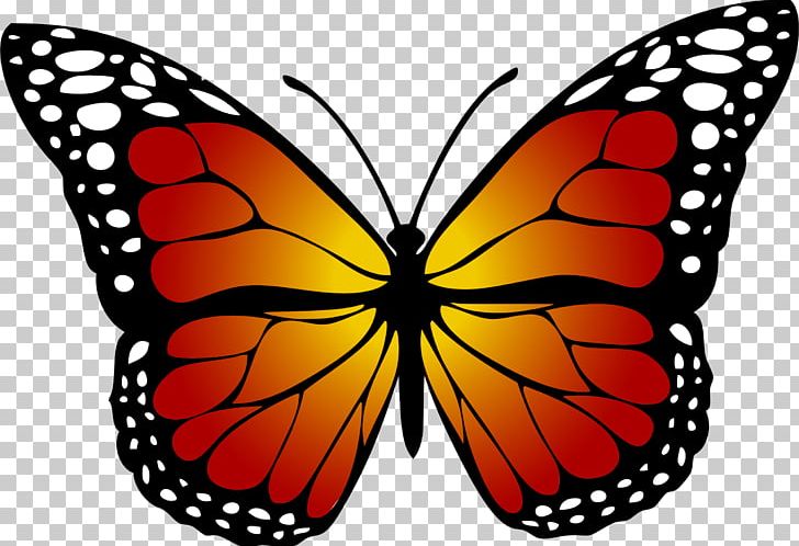 Monarch Butterfly Yellow PNG, Clipart, Arthropod, Brush Footed Butterfly, Butterfly, Clip Art, Color Free PNG Download