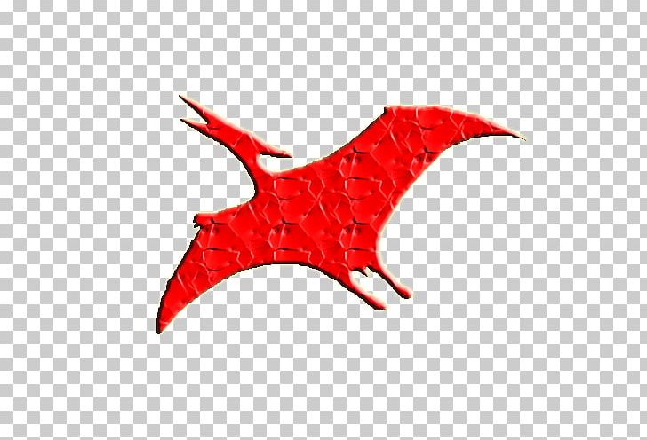 RED.M PNG, Clipart, Others, Pteranodon, Red, Redm, Wing Free PNG Download