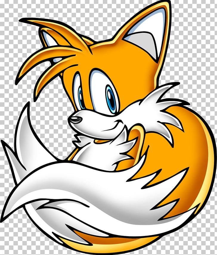 Tails Knuckles The Echidna Amy Rose Sonic Adventure Ariciul Sonic PNG, Clipart, Ariciul Sonic, Artwork, Big The Cat, Carnivoran, Cat Free PNG Download