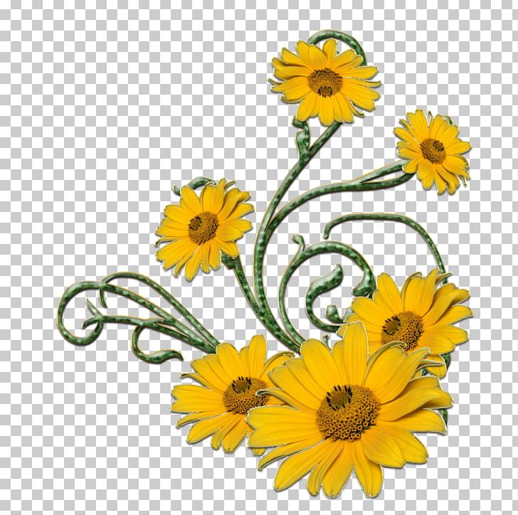 Flower Yellow PNG, Clipart, Blog, Calendula, Chrysanths, Common Sunflower, Cut Flowers Free PNG Download