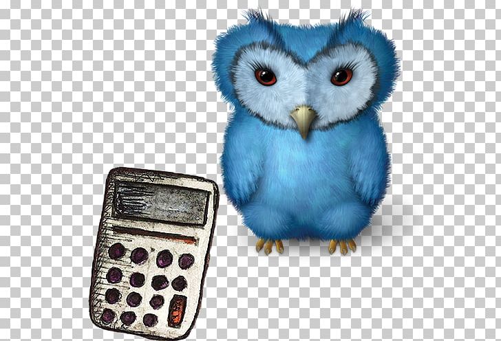 The Birds Of America Owl ICO Icon PNG, Clipart, Animal, Animals, Barn Owl, Beak, Bird Free PNG Download