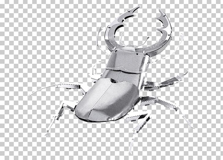 Beetle Metal Laser Cutting Earth Scale Models PNG, Clipart, Animals, Beetle, Black And White, Cutting, Earth Free PNG Download