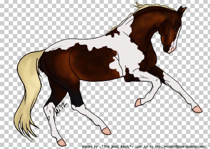 Foal Stallion Mustang Mare Colt PNG, Clipart, Bit, Bridle, Colt, English Riding, Equestrian Free PNG Download