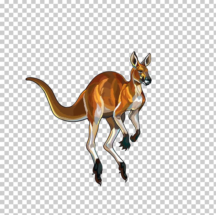 Red Kangaroo Illustration PNG, Clipart, Animals, Antelope, Brown, Brown Kangaroo, Cartoon Kangaroo Free PNG Download