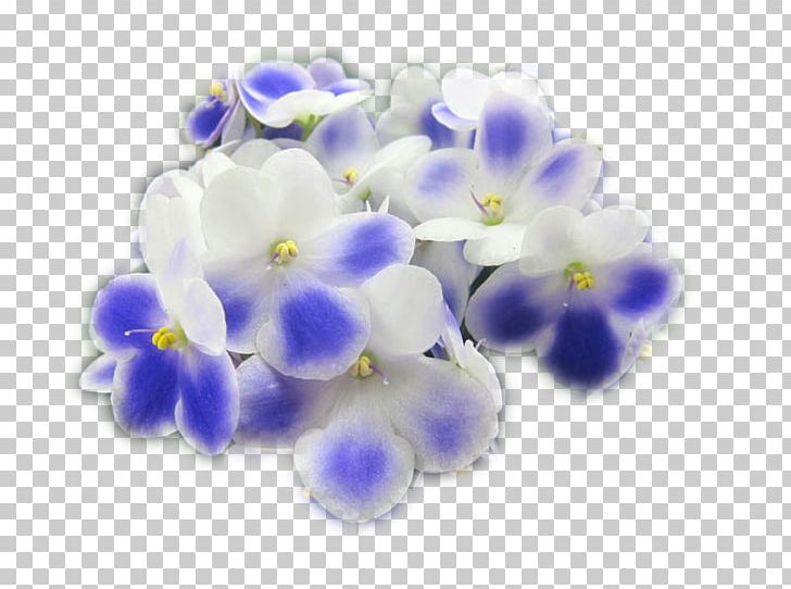Bead Scorpion Grasses PNG, Clipart, Bead, Blue, Borage Family, Cobalt Blue, Flower Free PNG Download