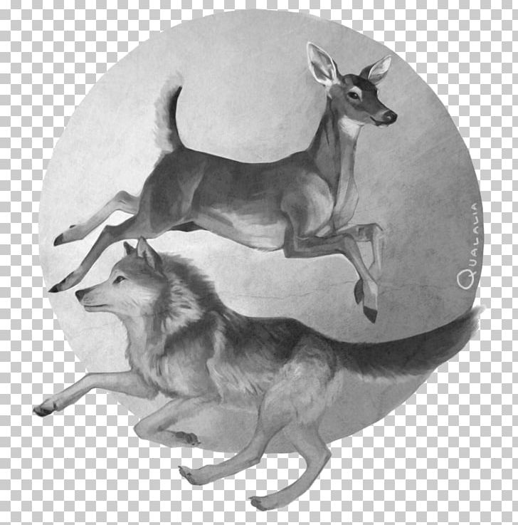 Reindeer Dog Drawing Canidae PNG, Clipart, Animal, Antler, Art, Black And White, Canidae Free PNG Download