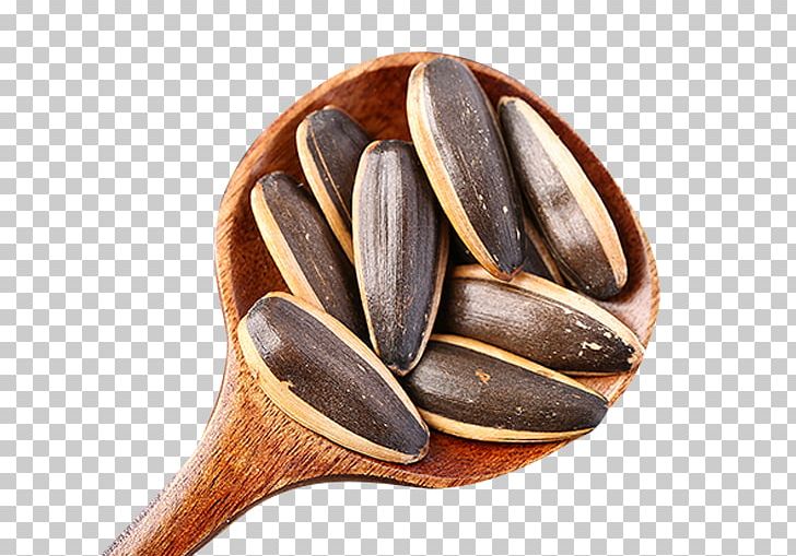 Common Sunflower Sunflower Seed Nut PNG, Clipart, Black, Black Melon Seeds, Clam, Clams Oysters Mussels And Scallops, Commodity Free PNG Download