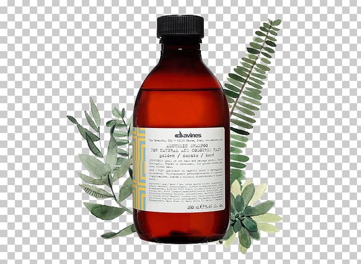 Davines OI Absolute Beautifying Shampoo Hairstyle Hair Conditioner PNG, Clipart, Brush, Color, Copper, Golden Vine, Hair Free PNG Download