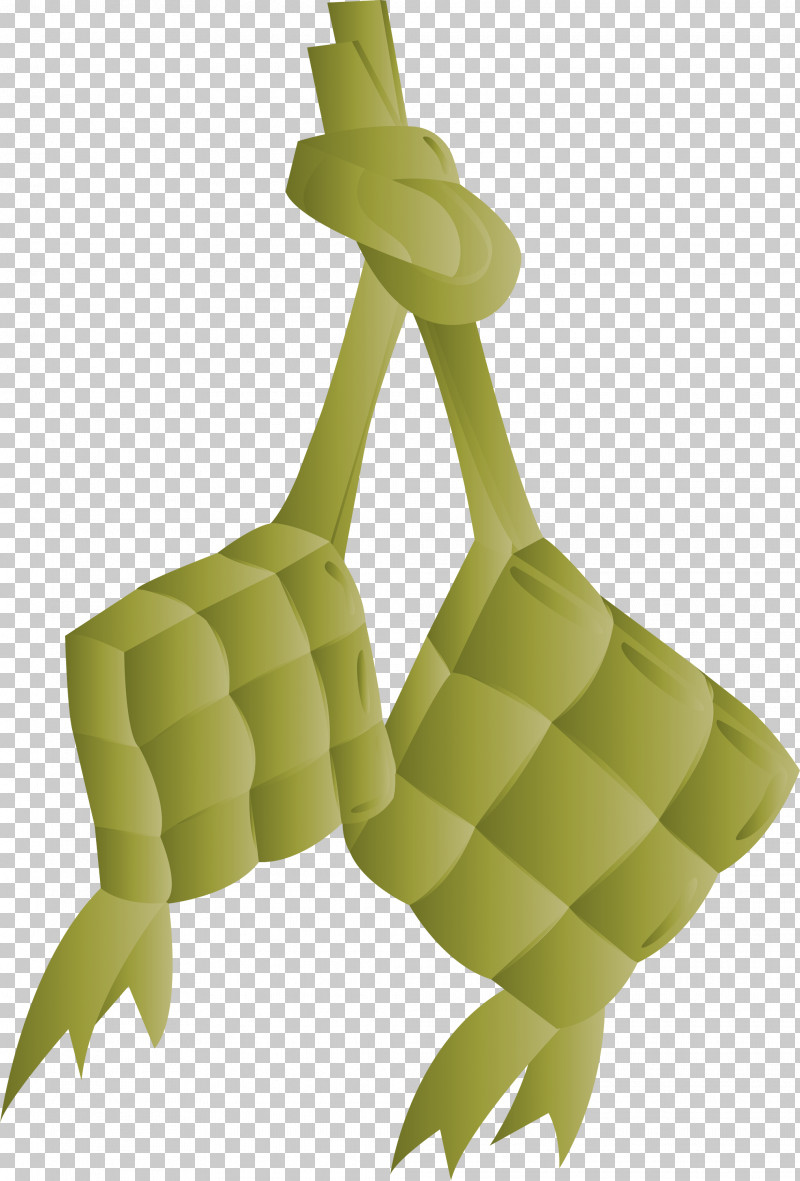 Ketupat PNG, Clipart, Biology, Branch, Common Ivy, Grasses, Guiana Chestnut Free PNG Download