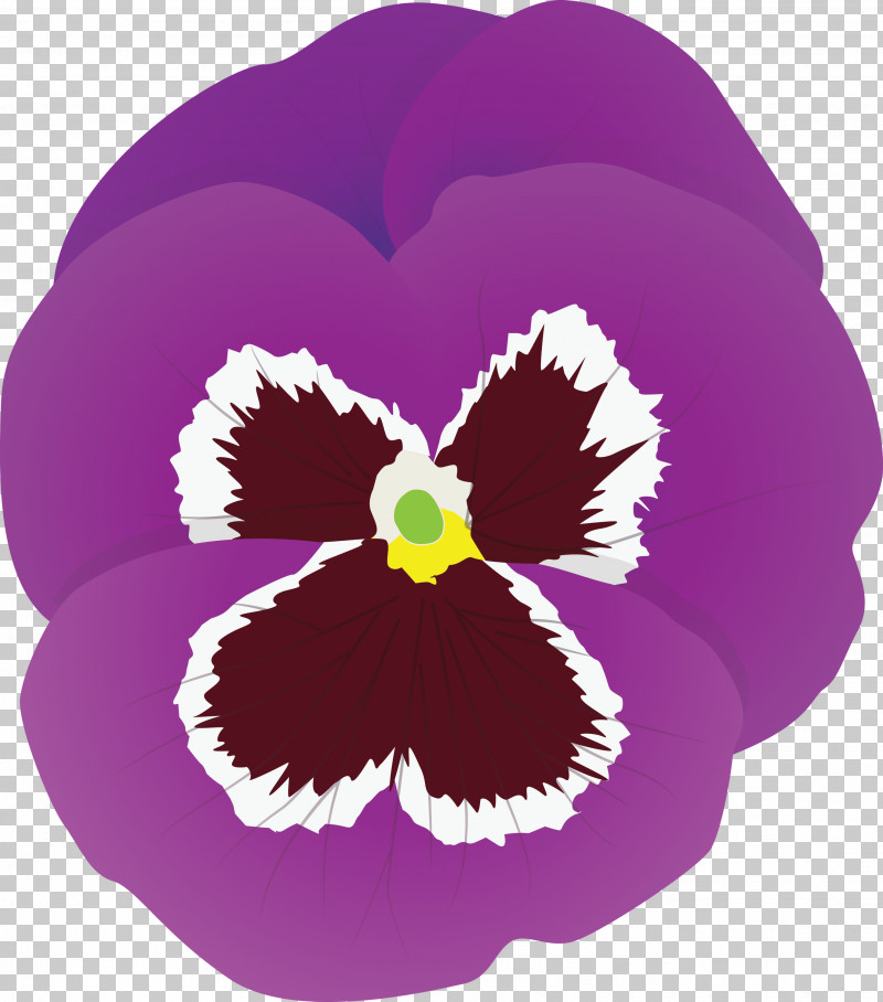 PANSY Spring Flower PNG, Clipart, Cattleya, Flower, Iris, Magenta, Pansy Free PNG Download
