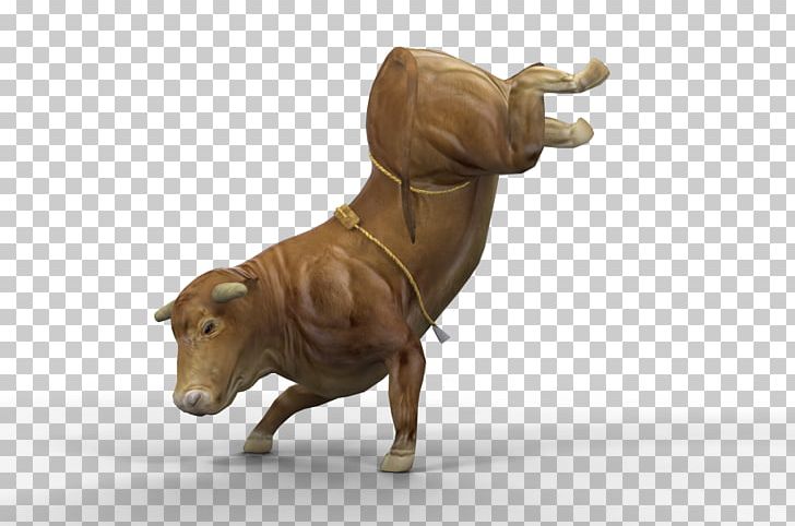 taurine bull