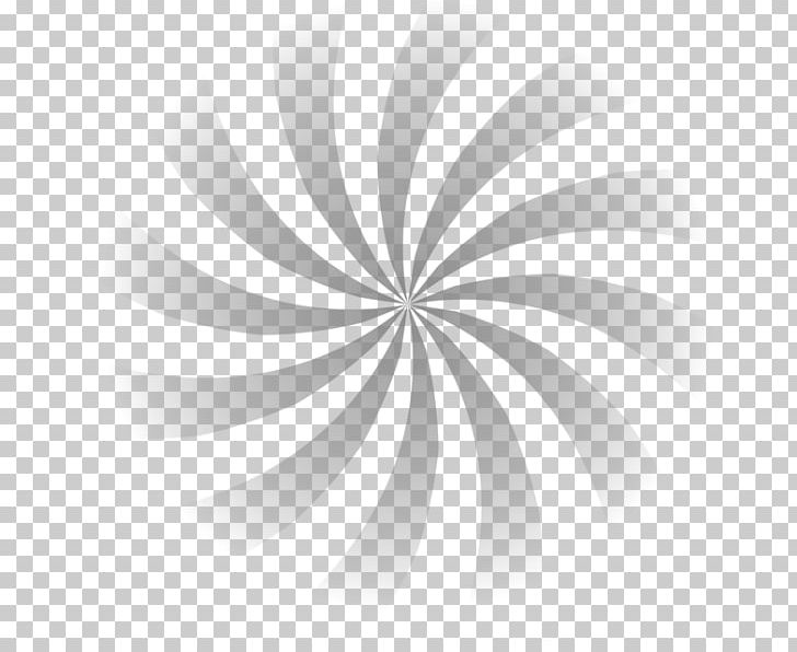 Light PhotoScape Adobe Fireworks PNG, Clipart, 3d Computer Graphics, Adobe Fireworks, Black And White, Circle, Color Free PNG Download