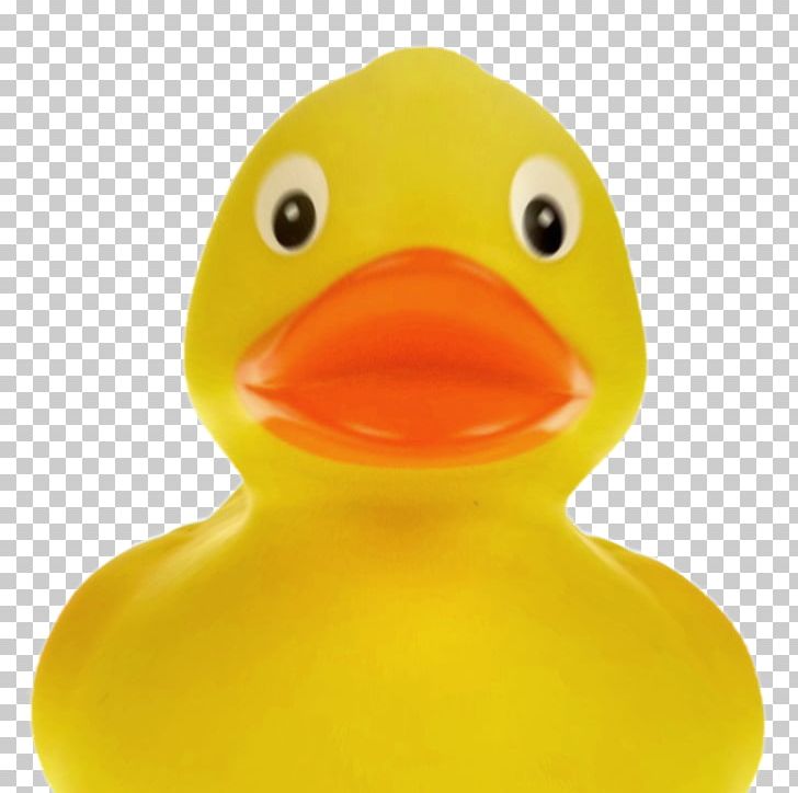 Rubber Duck Yellow Bathtub Inflatable PNG, Clipart, Animals, Bathtub, Beak, Bird, Color Free PNG Download