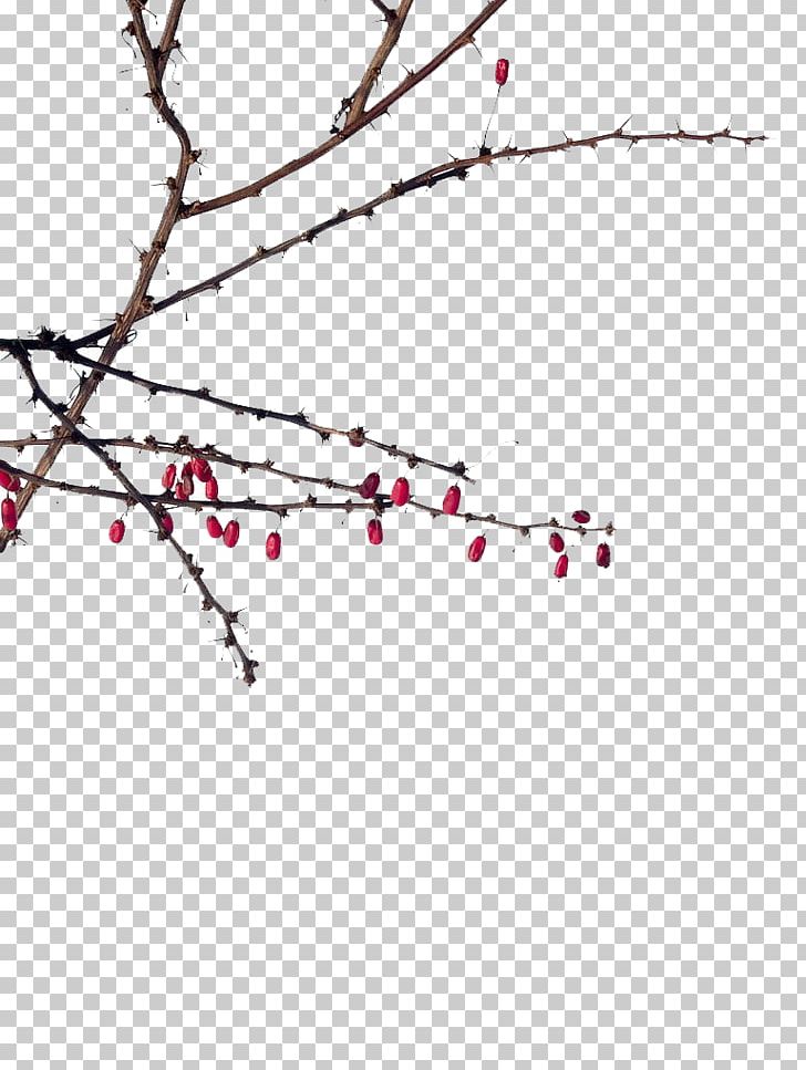 Winter Snow PNG, Clipart, Advertise Here, Angle, Area, Branch, Branches Free PNG Download