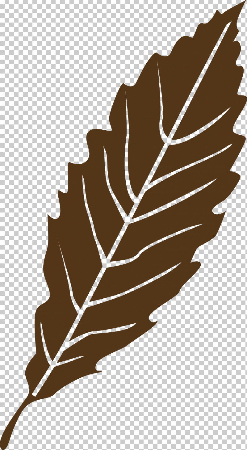 Leaf PNG, Clipart, Biology, Black, Black And White, Commodity, Feather Free PNG Download