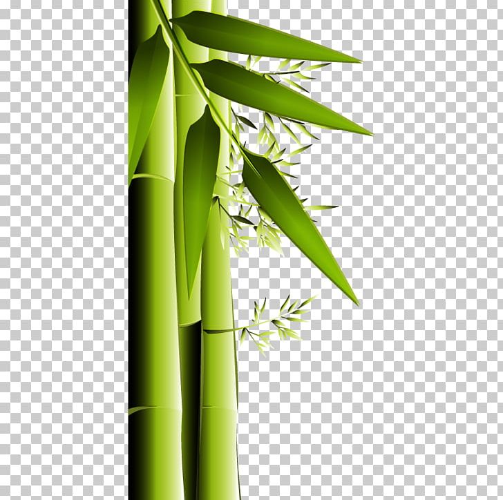 Bamboo Charcoal Activated Carbon Air Purifier PNG, Clipart, Against, Angle, Background Green, Bamboo, Bamboo Vector Free PNG Download