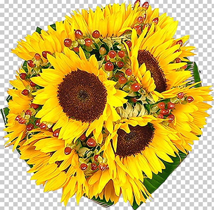 Common Sunflower Flower Bouquet Cut Flowers PNG, Clipart, Annual Plant, Blume, Cut Flowers, Daisy Family, Floral Design Free PNG Download