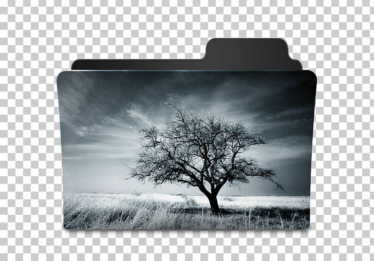 Computer Icons Tree Photography PNG, Clipart, Art, Black And White, Computer Icons, Download, Drawing Free PNG Download