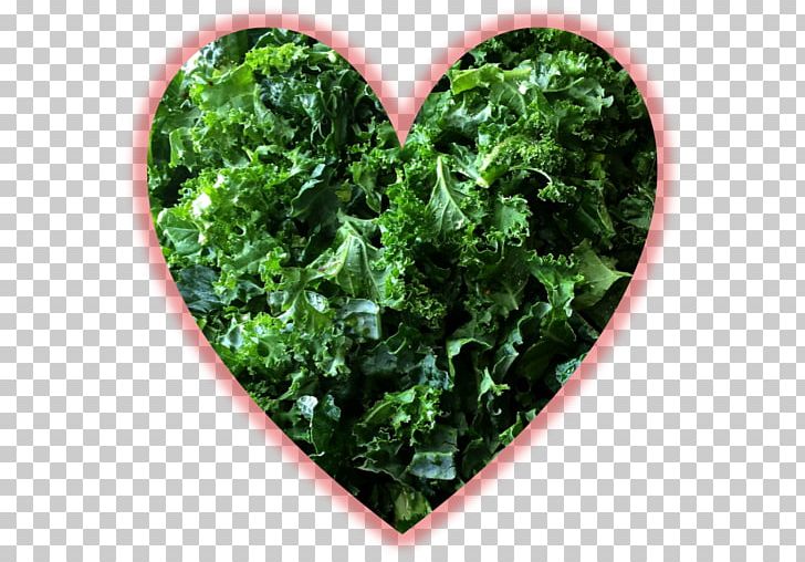 Kale Meal The HON Company Blog Heart PNG, Clipart, Blog, Crop, Food Drinks, Heart, Hon Free PNG Download