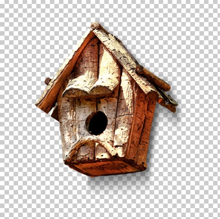 Bird Animation PNG, Clipart, Adobe Illustrator, Animals, Bir, Birdhouse, Bird Nest Free PNG Download