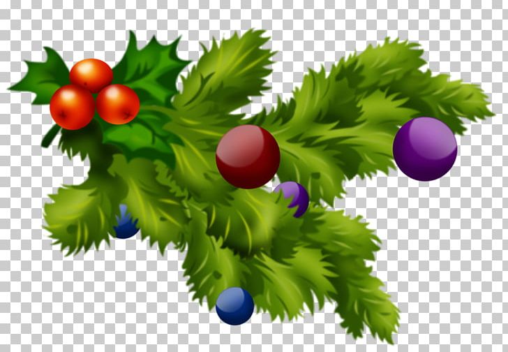 Christmas Desktop PNG, Clipart, Branch, Christmas, Christmas Plants, Desktop Wallpaper, Download Free PNG Download