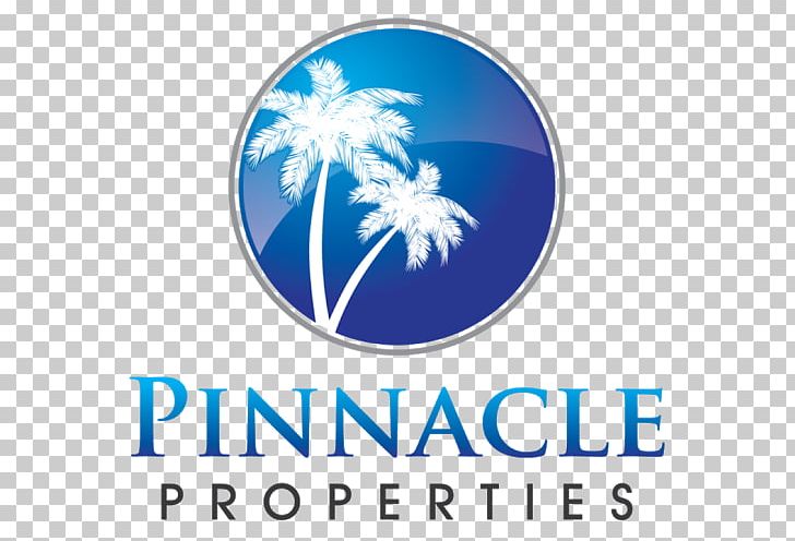 Pinnacle Car Care Inc Investment Money Service Mortgage Loan PNG, Clipart, Brand, Down Payment, Finance, Firsttime Home Buyer Grant, Home Free PNG Download