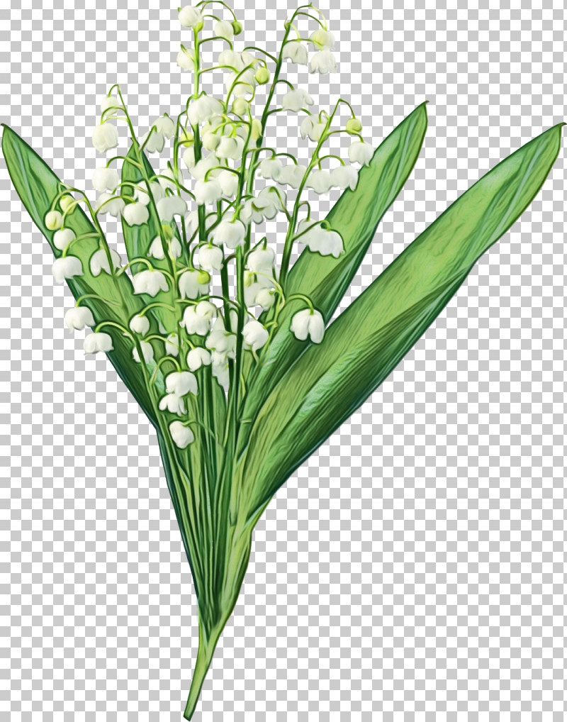 Floral Design PNG, Clipart, Calla Lily, Cut Flowers, Elimina Olores Gatos Beox 500ml, Floral Design, Flower Free PNG Download