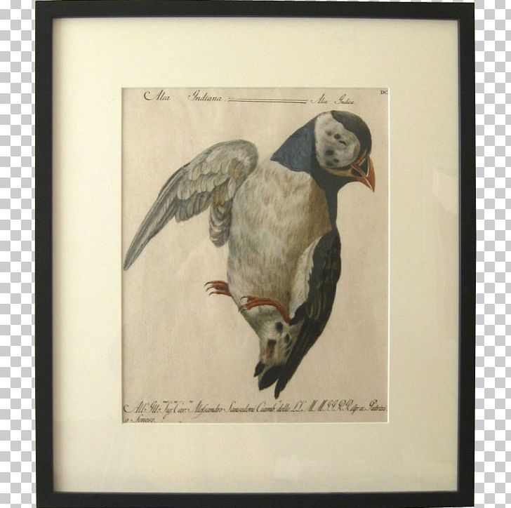 Bird Crane Painting Frames Printing PNG, Clipart, Animals, Art, Beak, Bird, Bird Of Prey Free PNG Download