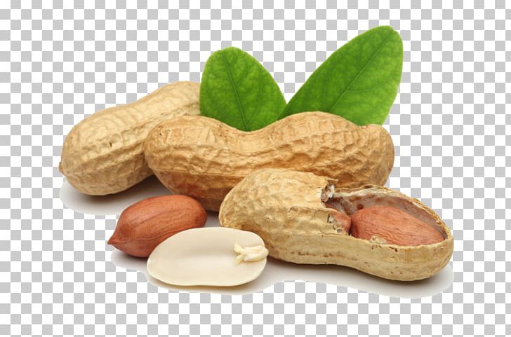 Deep-fried Peanuts Peanut Oil Tree Nut Allergy PNG, Clipart, Arachis, Commodity, Cooking, Deep Fried Peanuts, Deepfried Peanuts Free PNG Download